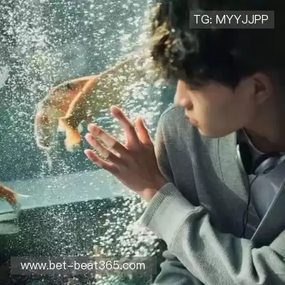 司思锴